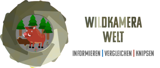 Was es beim Kaufen die Wildkamera erlaubt zu bewerten gibt